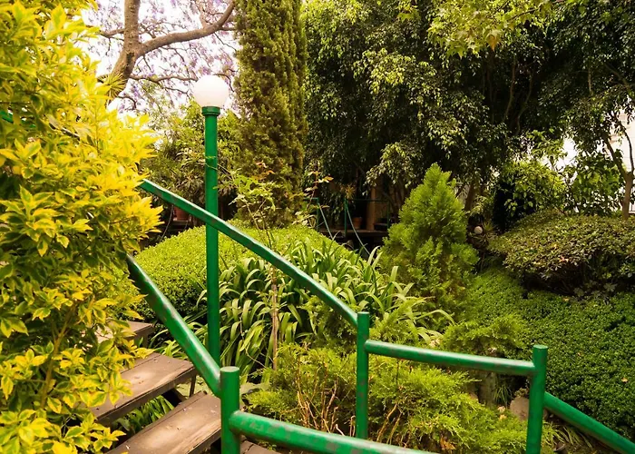 1c, Balcon, Garden House, Welcome To San Angel *