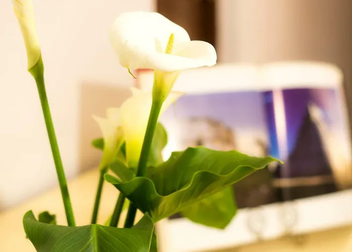1c, Balcon, Garden House, Welcome To San Angel Apartamento *