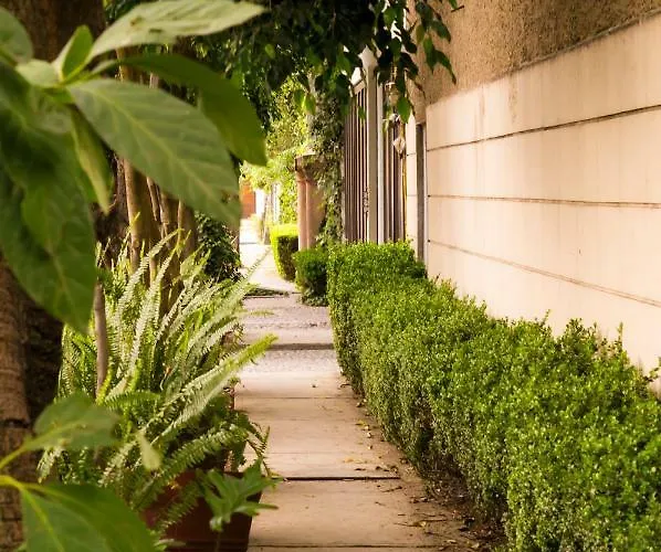1c, Balcon, Garden House, Welcome To San Angel Apartamento *